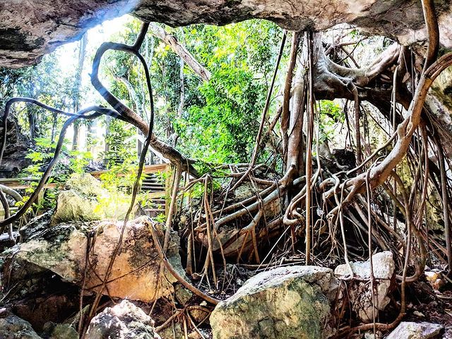 recommendation image