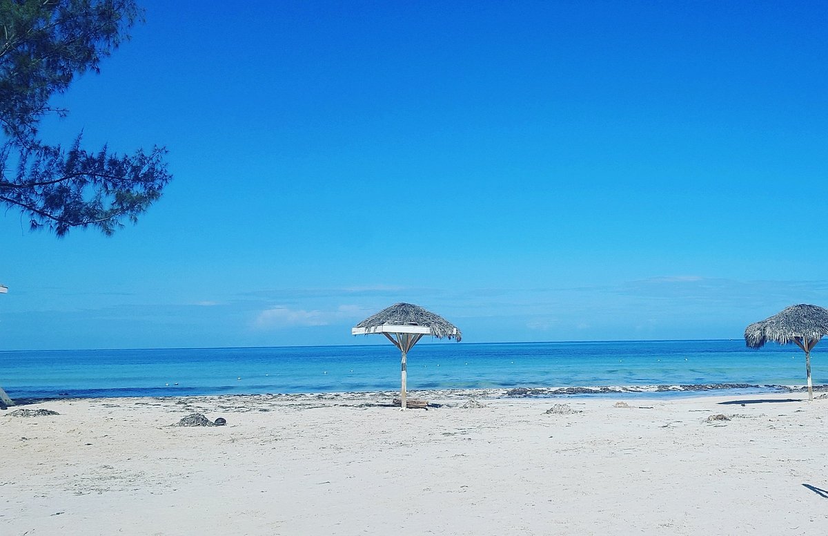 Burwood public beach