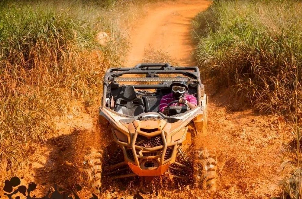 Bush Trails Excursion