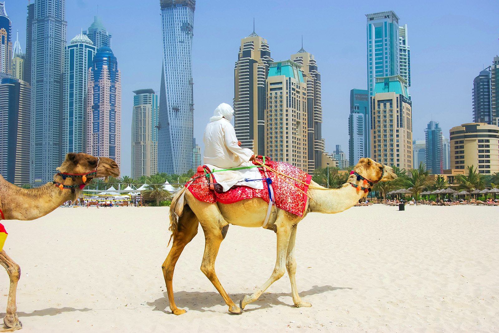 Camel Ride at The Beach JBR