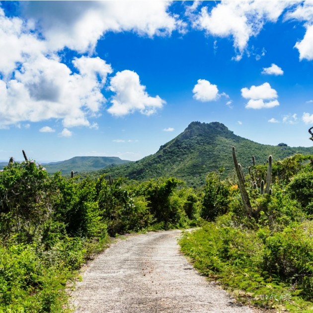 recommendation image