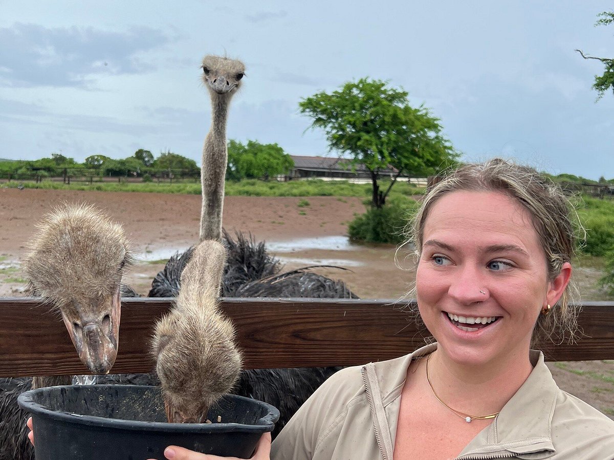 recommendation image