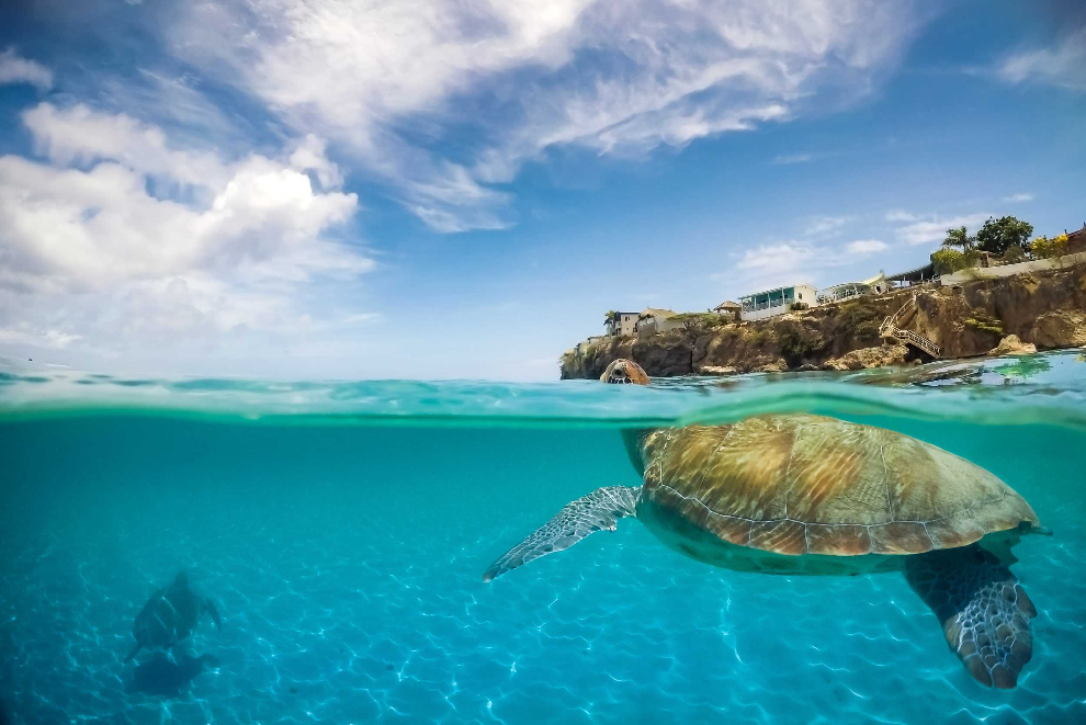 recommendation image