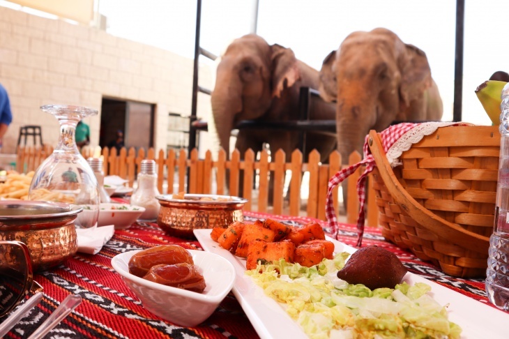 recommendation image