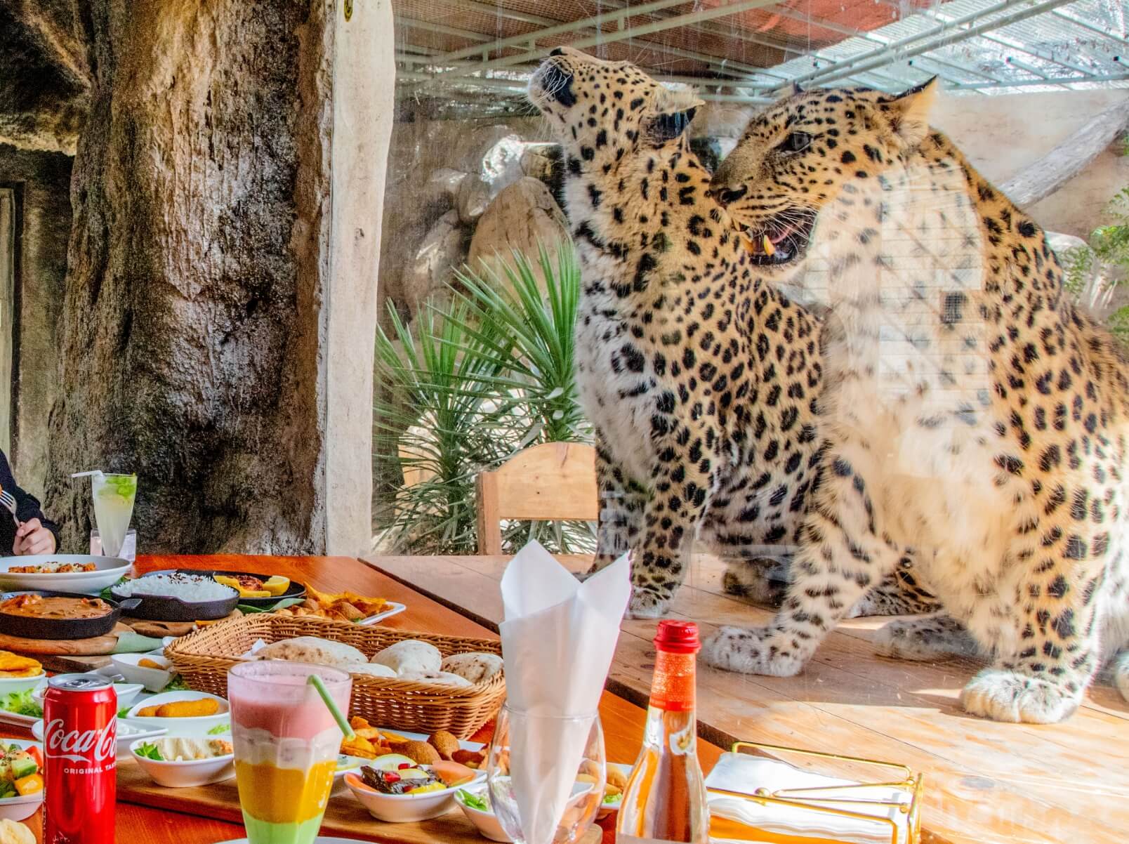 recommendation image