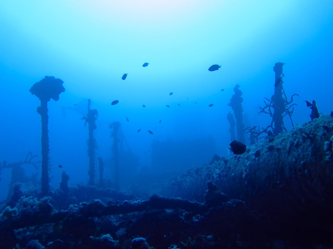 recommendation image