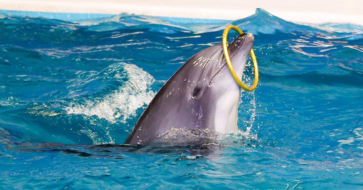 recommendation image