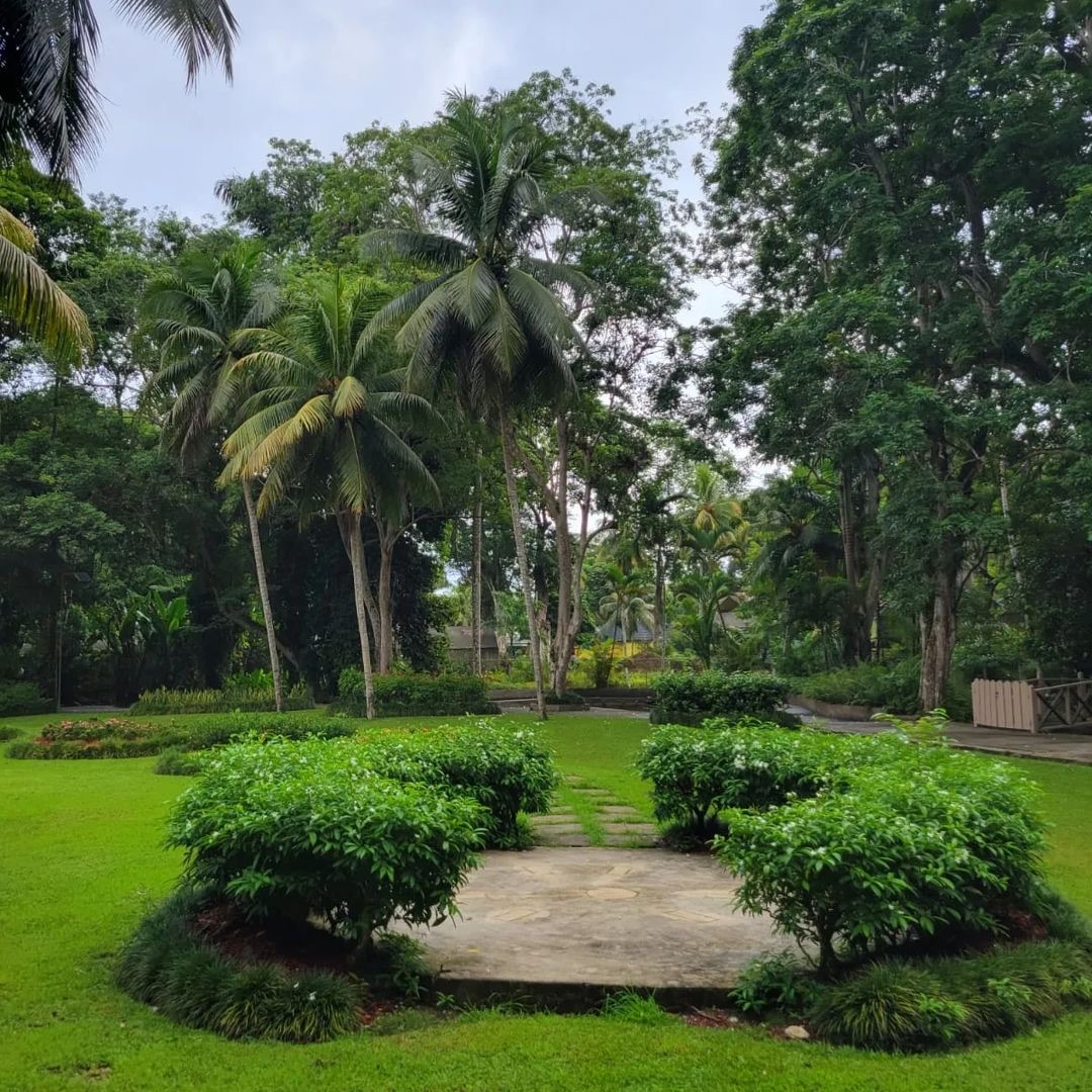 recommendation image