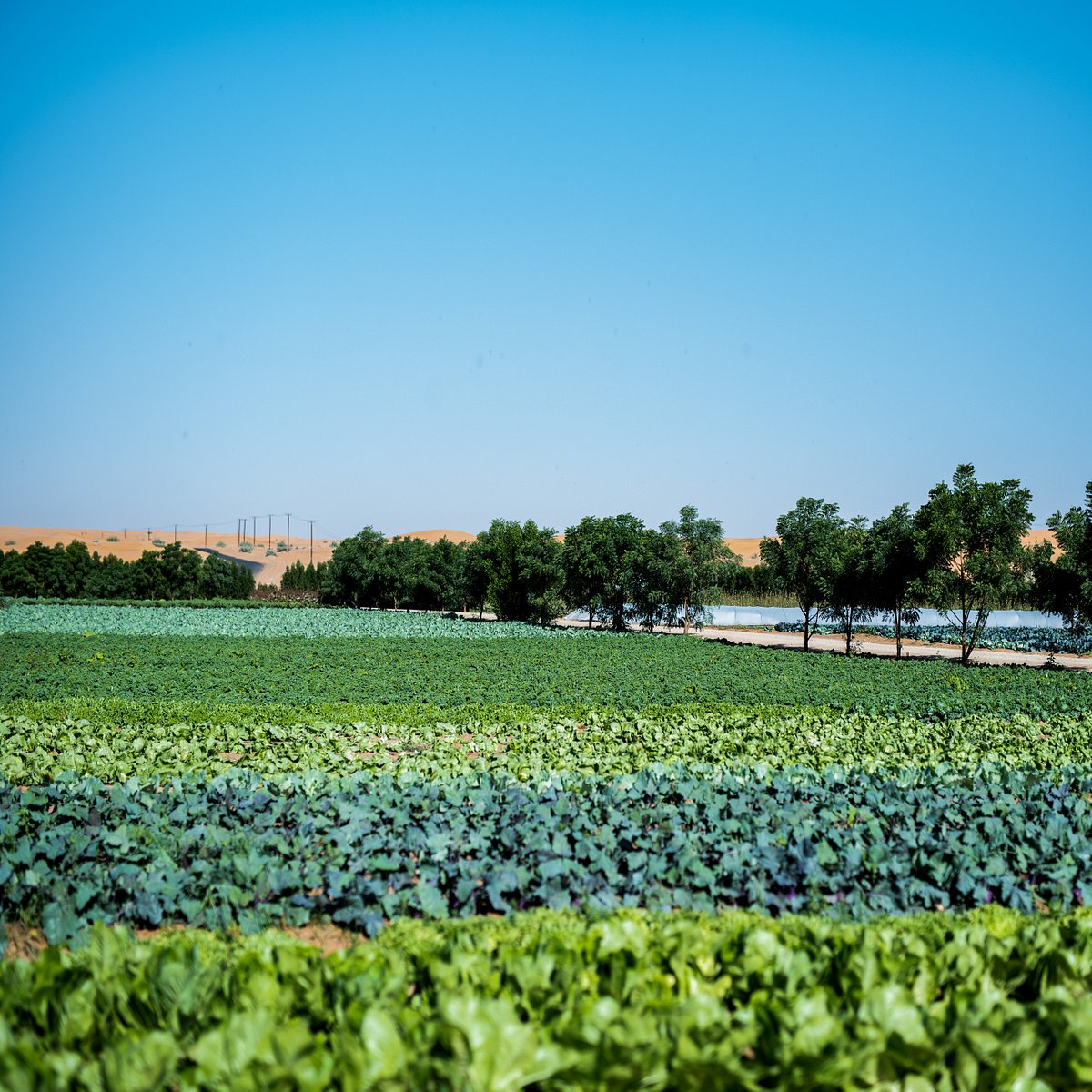 recommendation image