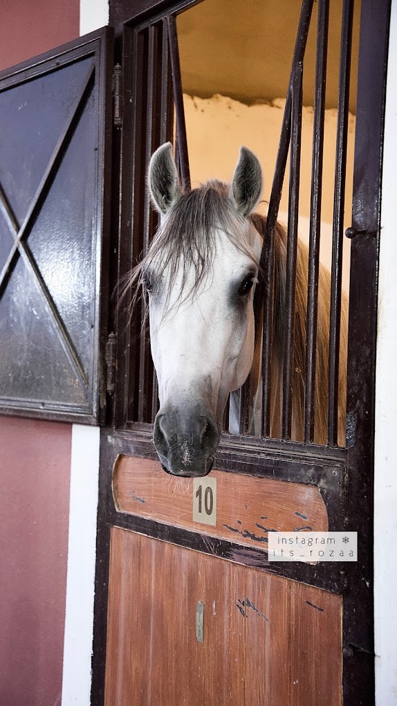 recommendation image