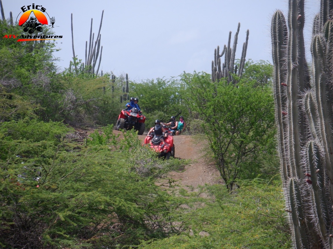 recommendation image