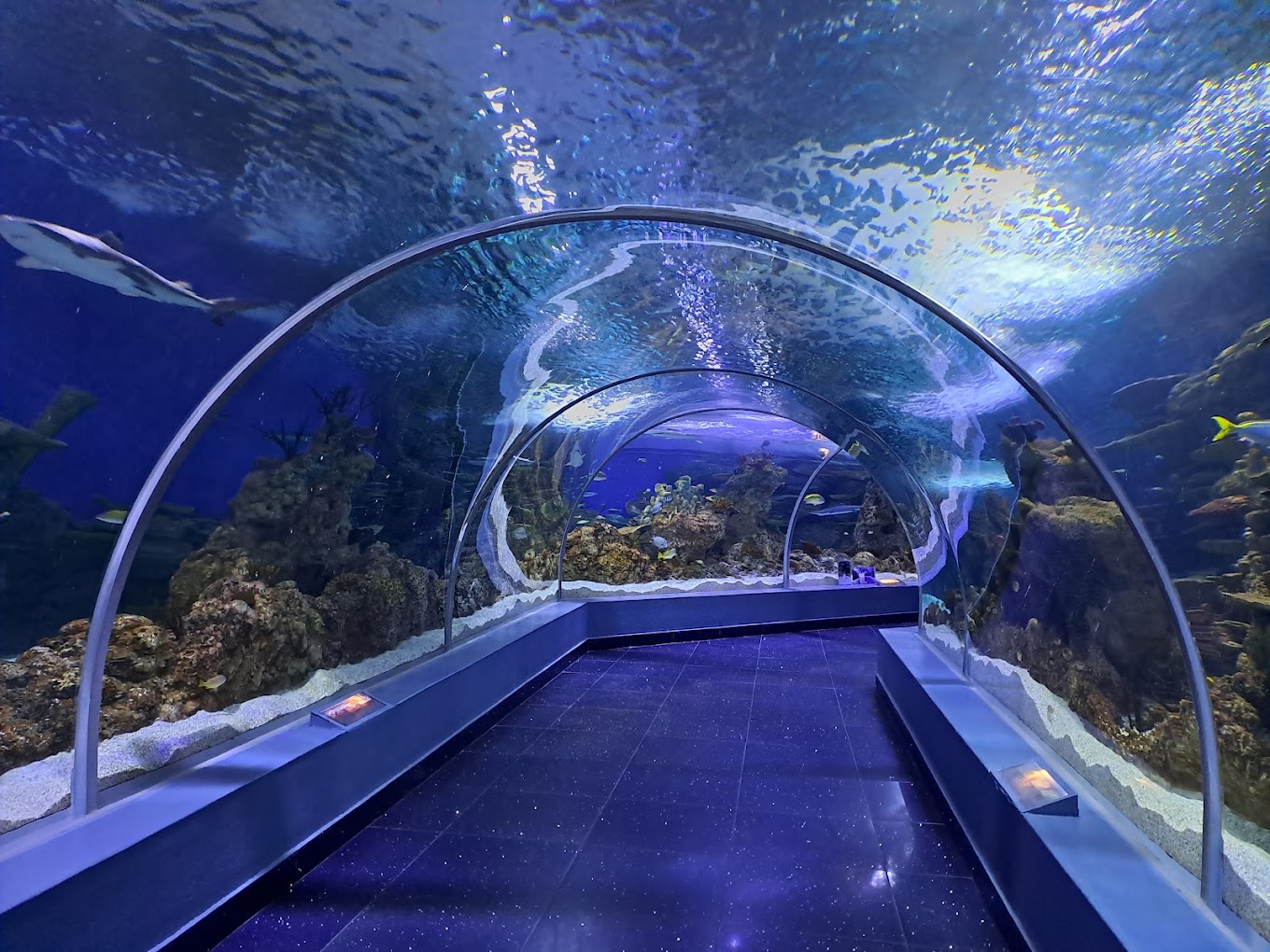 Fakieh Aquarium