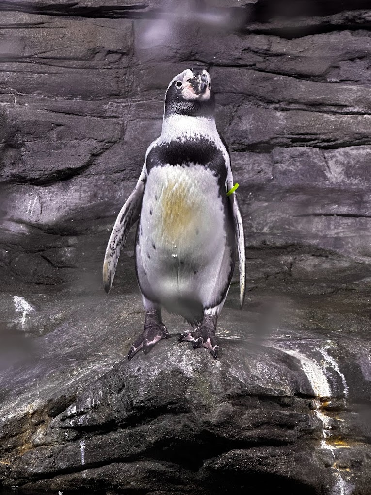 recommendation image