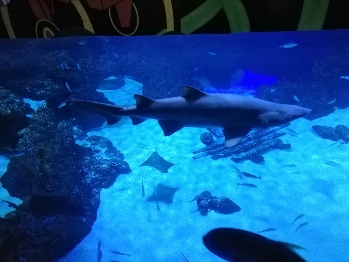 recommendation image