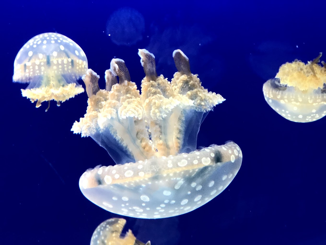 recommendation image