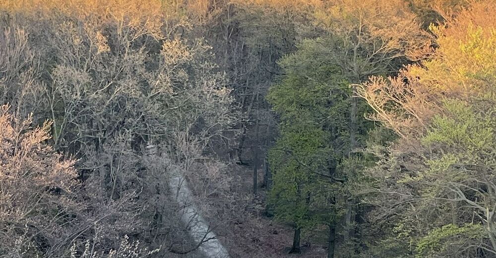 recommendation image