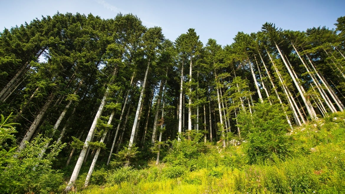 recommendation image