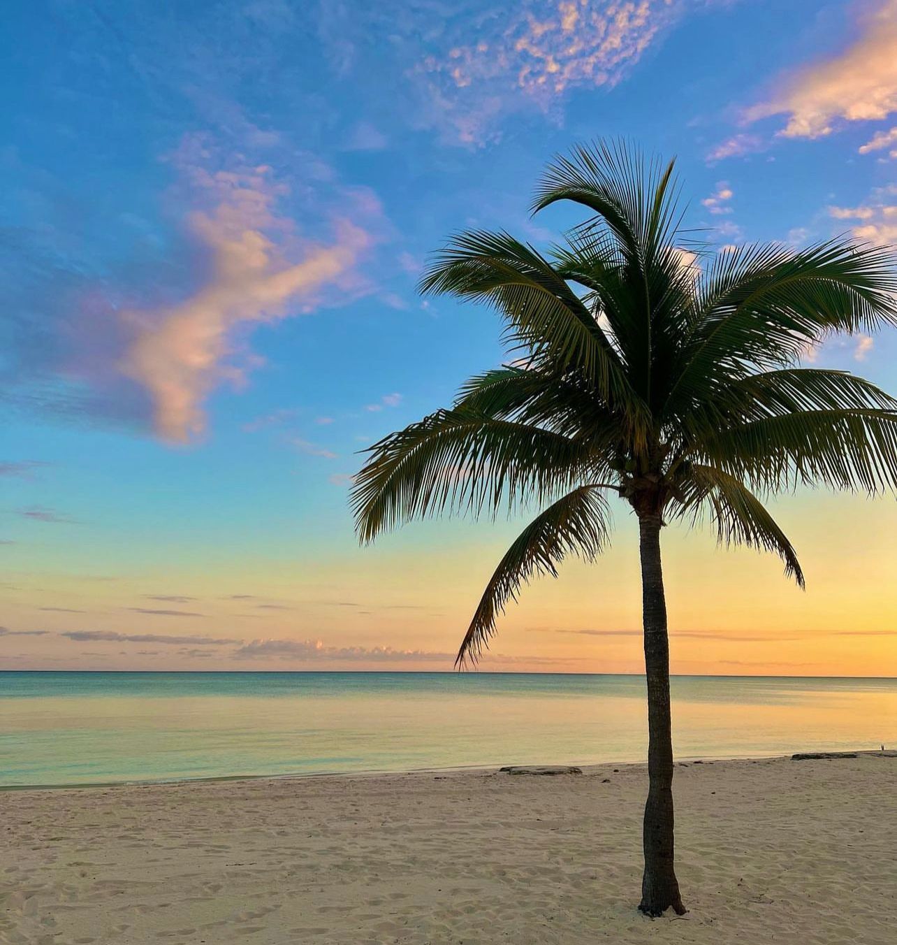 recommendation image