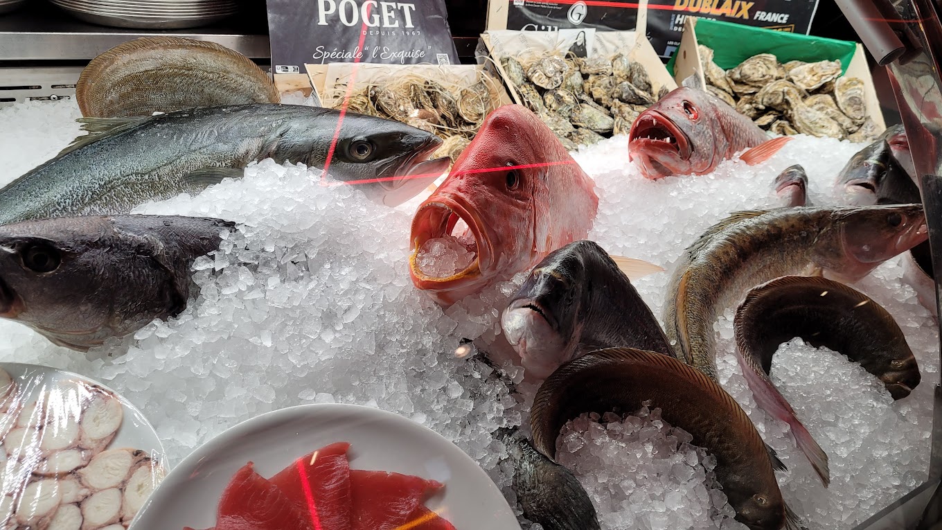 recommendation image