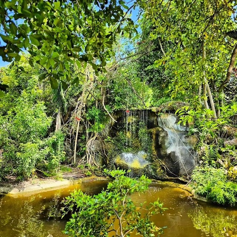 Garden of the Groves