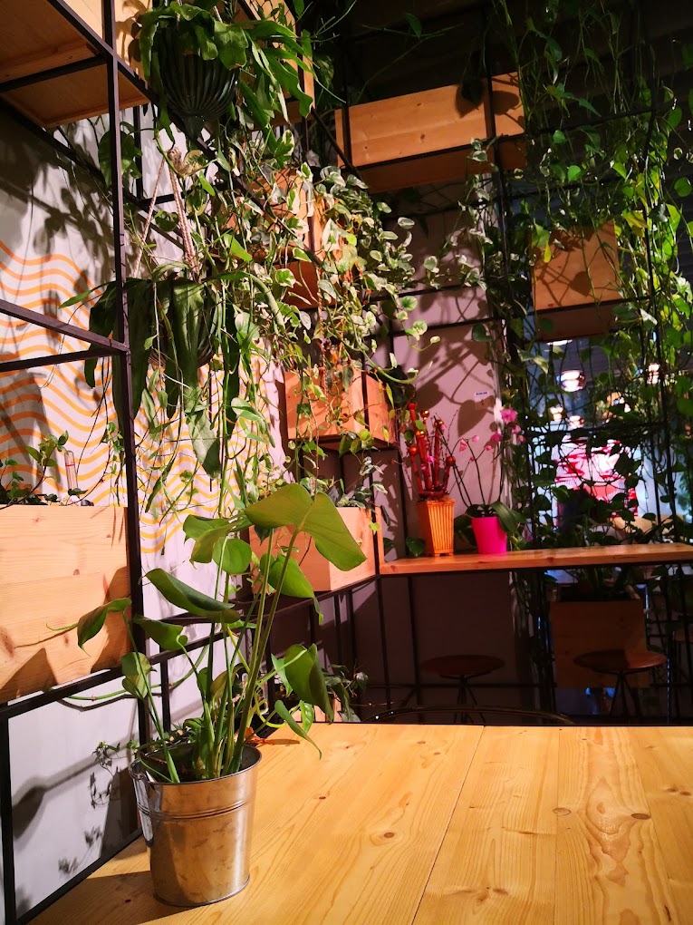 recommendation image