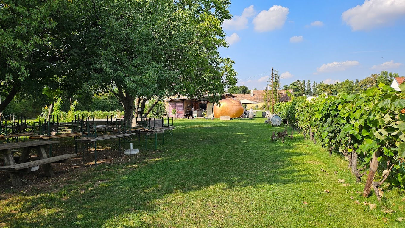 recommendation image