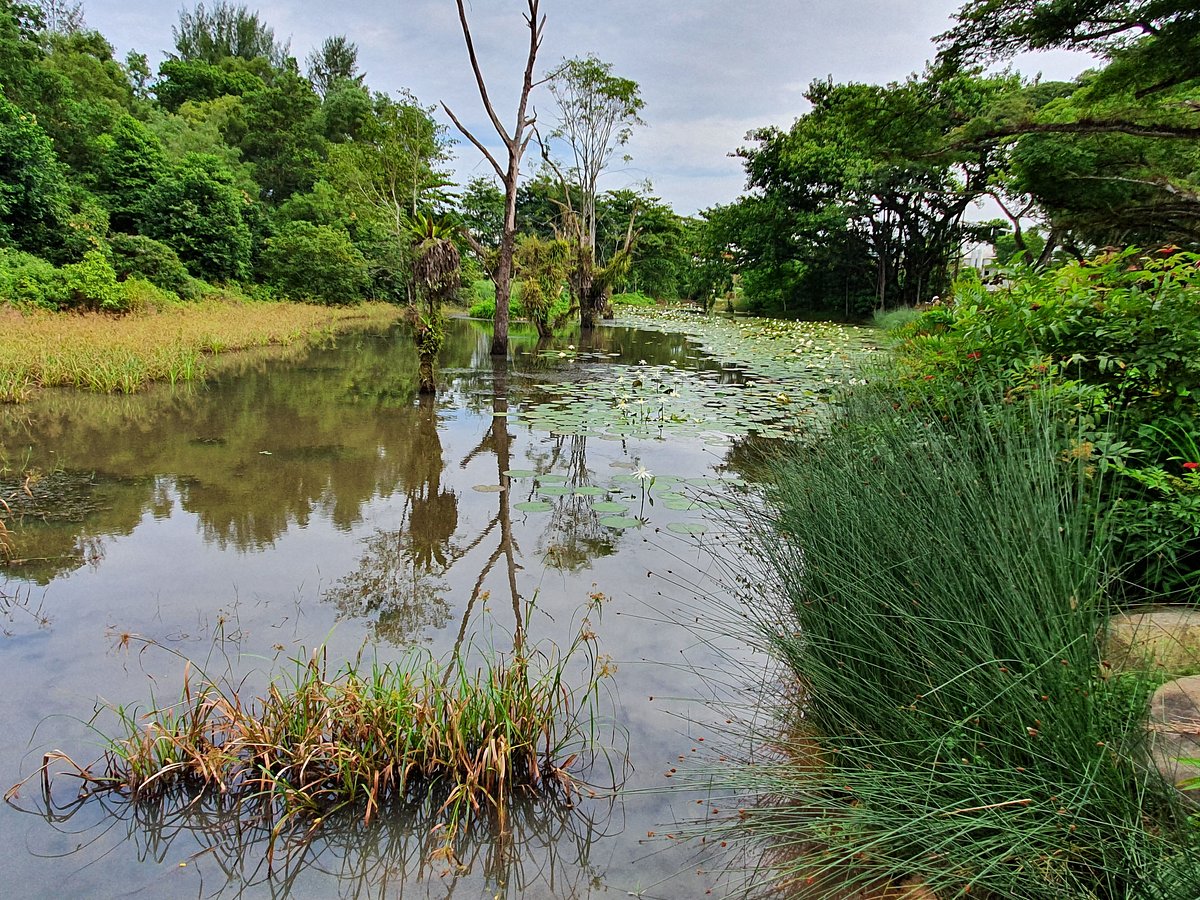 recommendation image