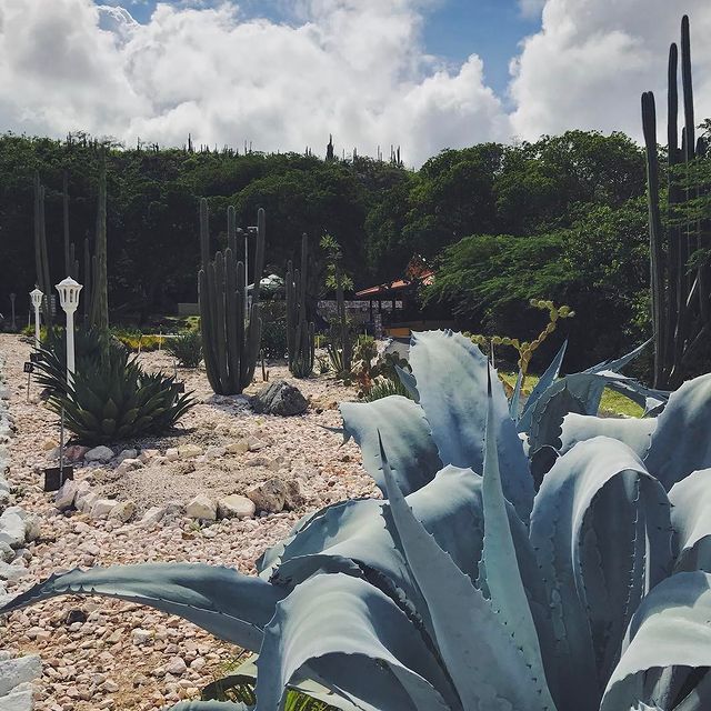 recommendation image