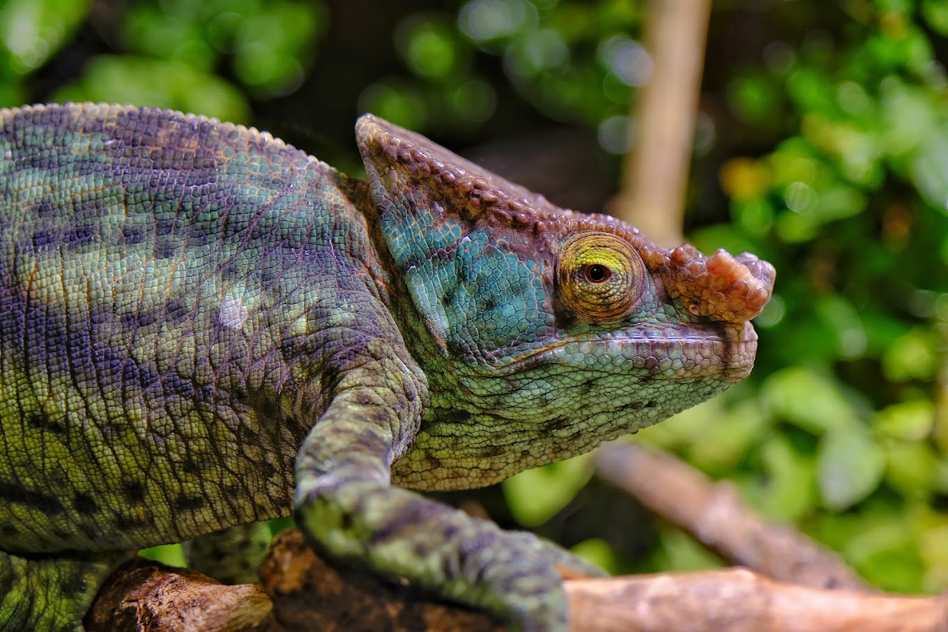 recommendation image