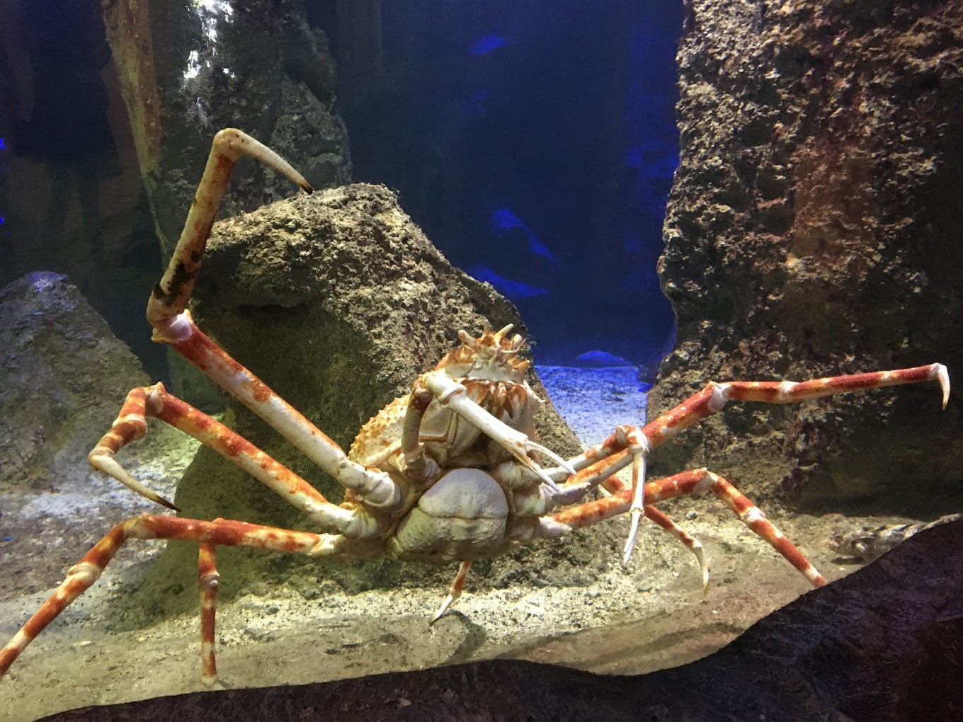 recommendation image