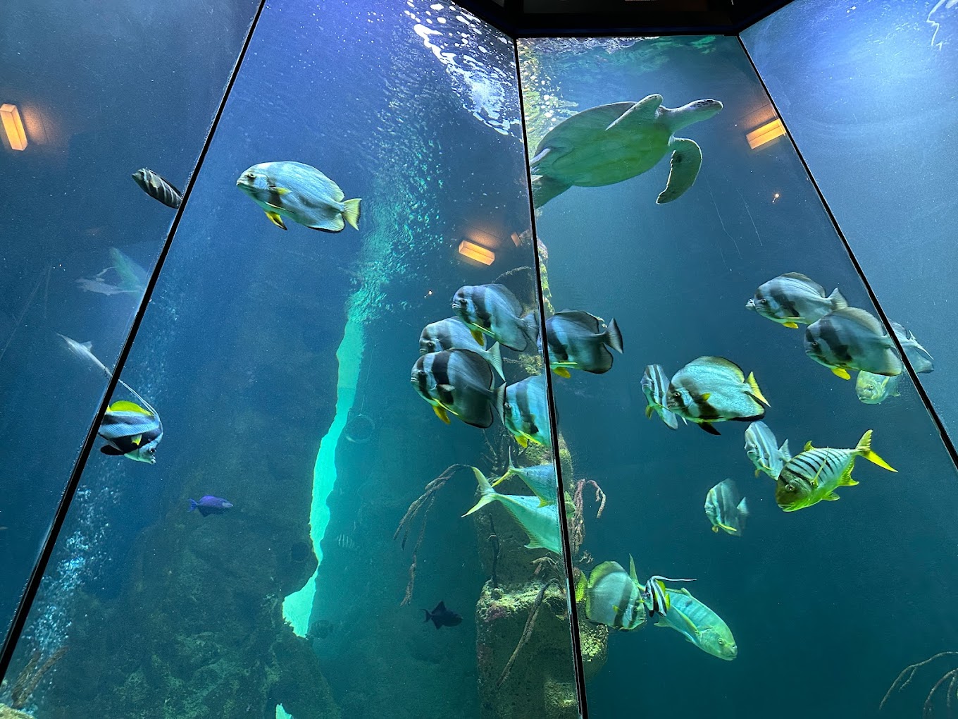 recommendation image