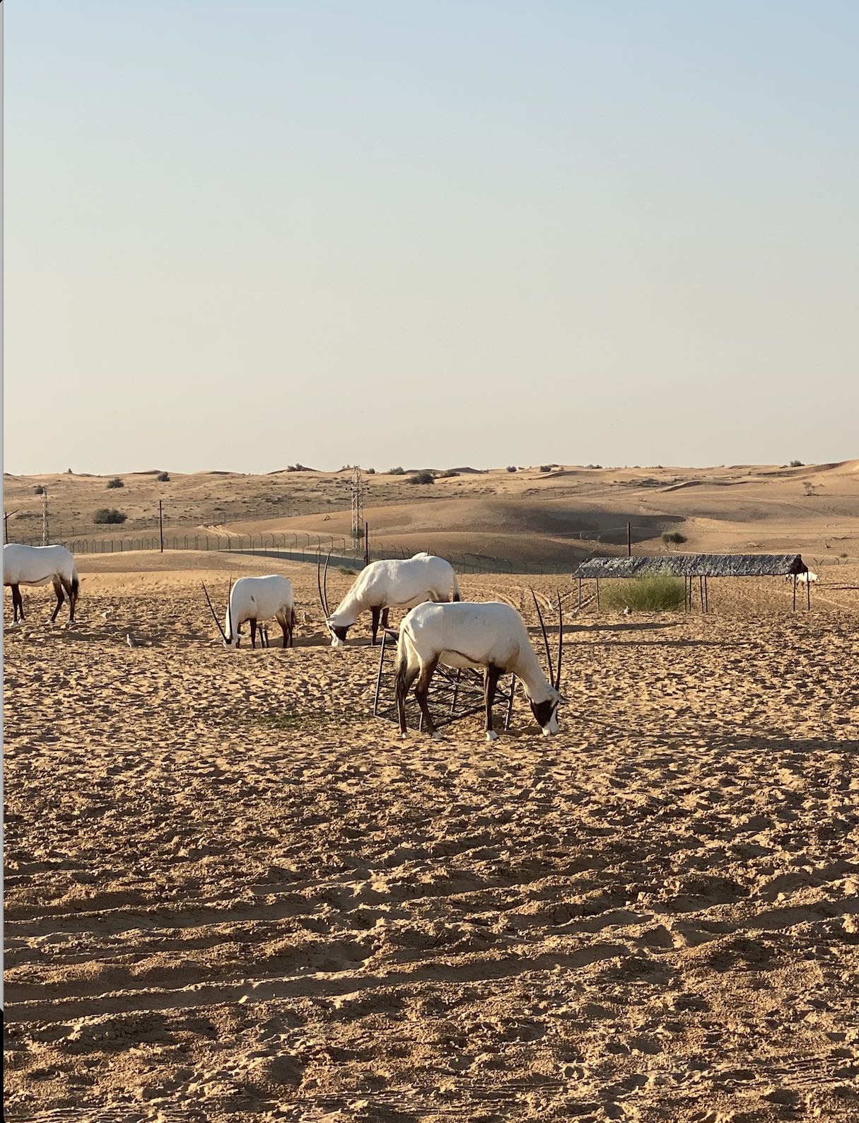 recommendation image