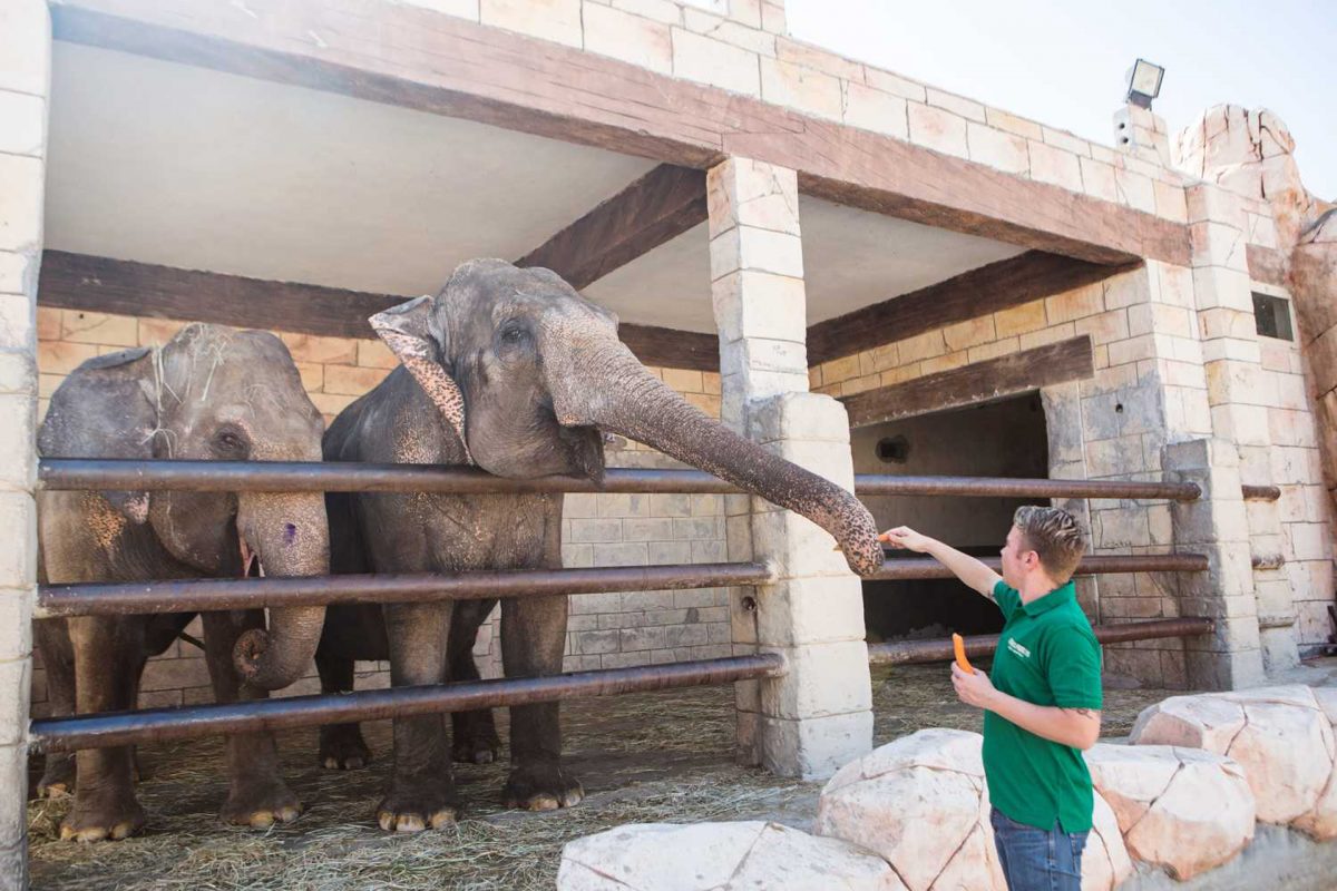 recommendation image