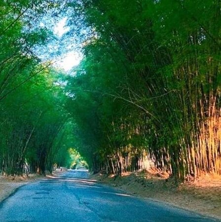 recommendation image