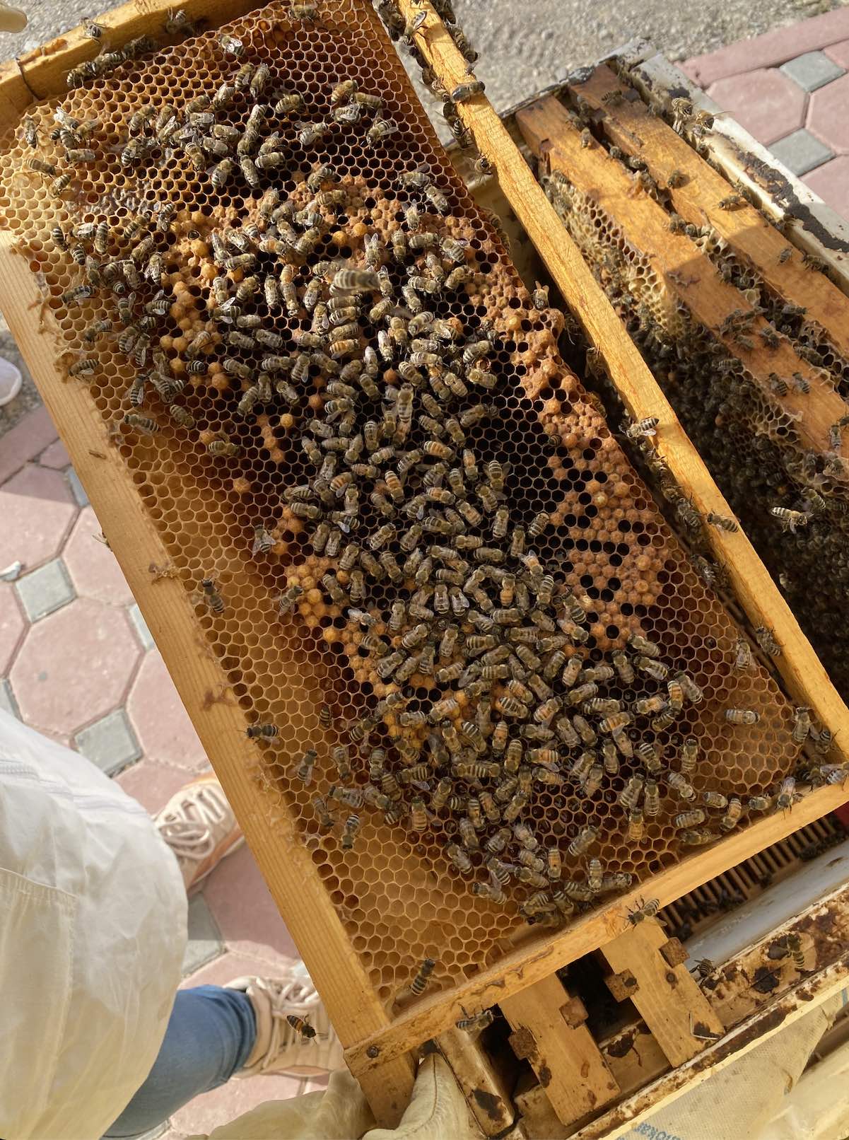 recommendation image