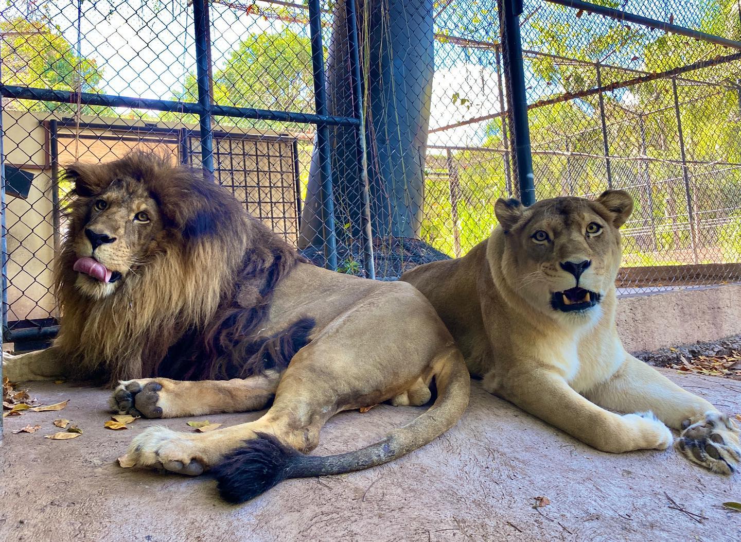 recommendation image