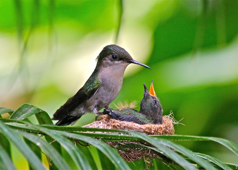 recommendation image