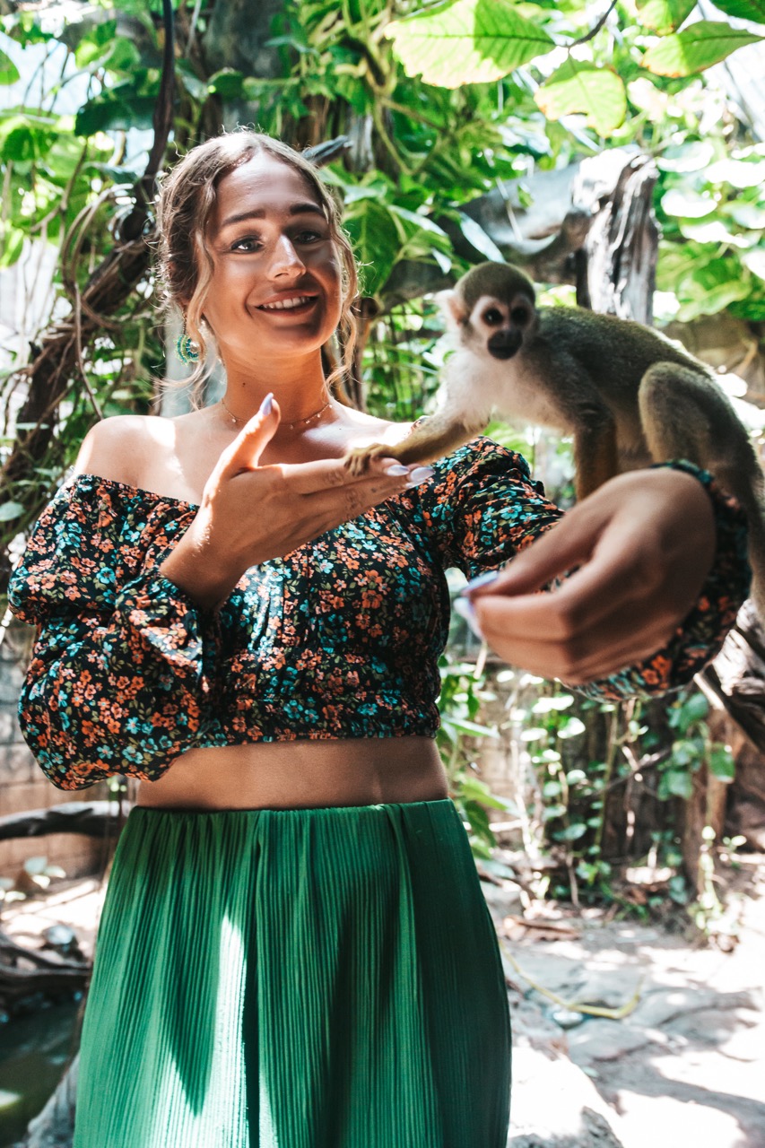 recommendation image