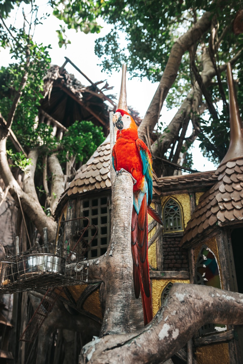 recommendation image