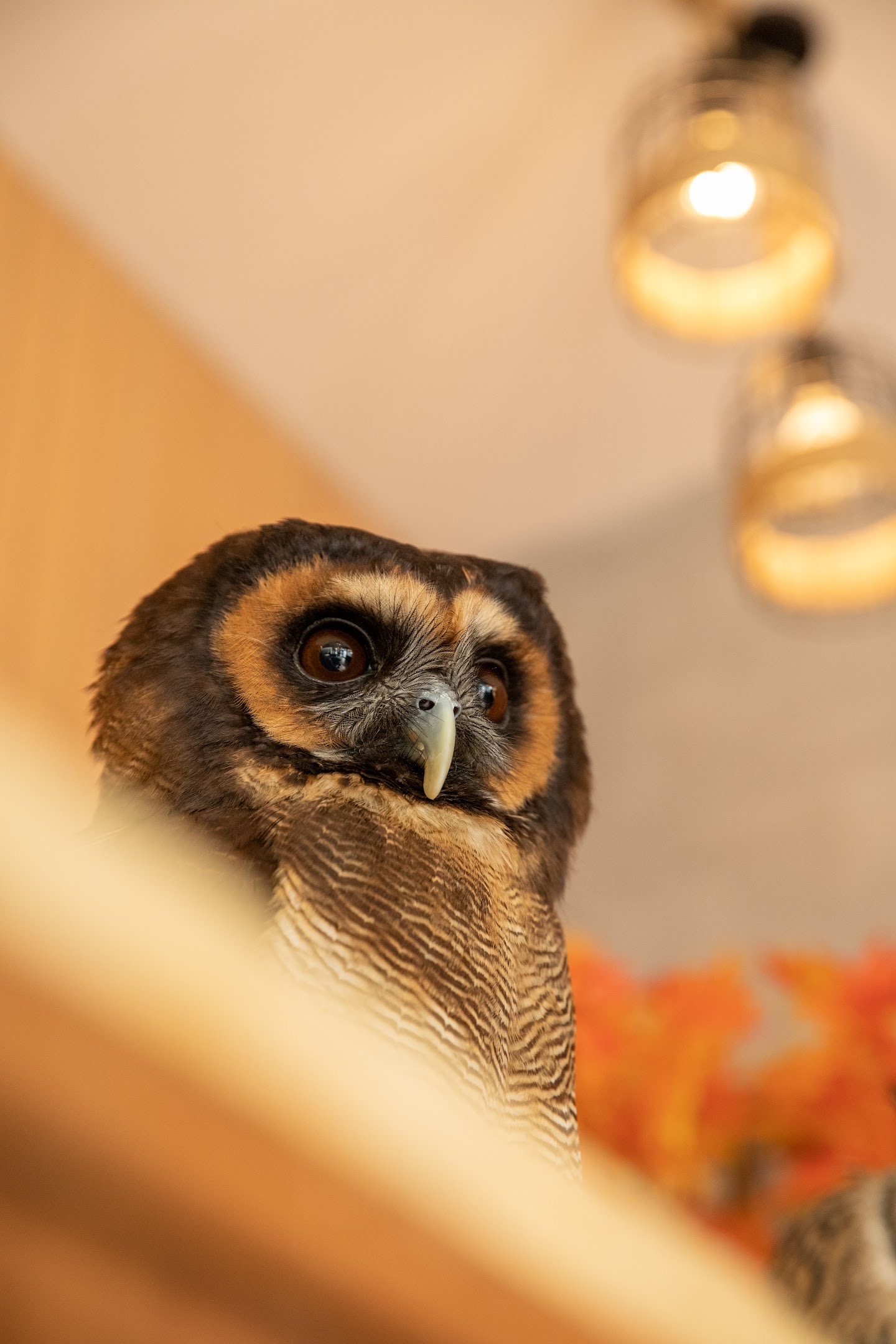 recommendation image