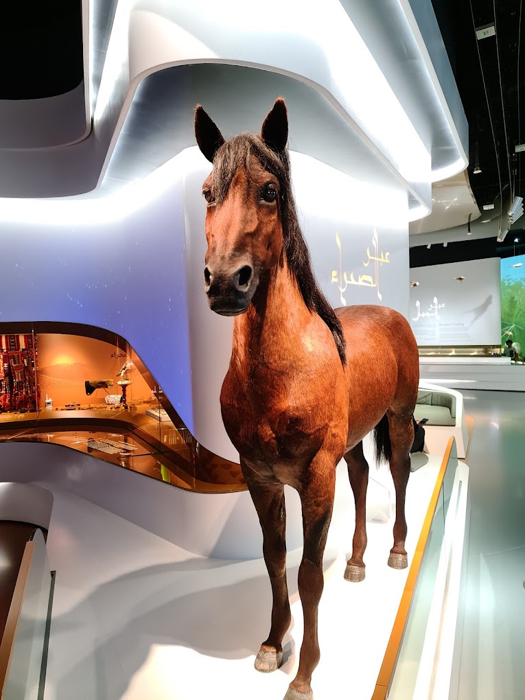 recommendation image