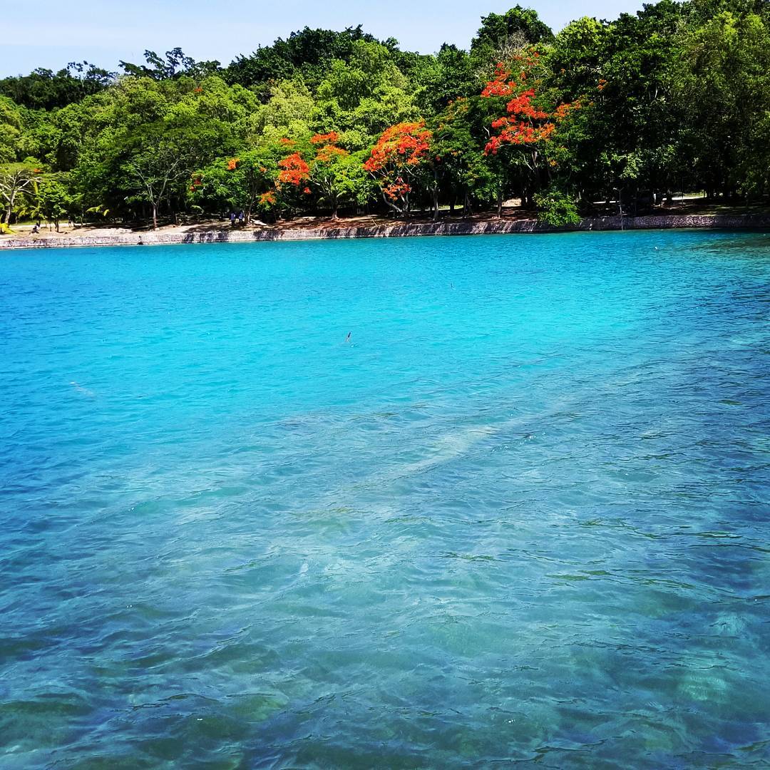 recommendation image