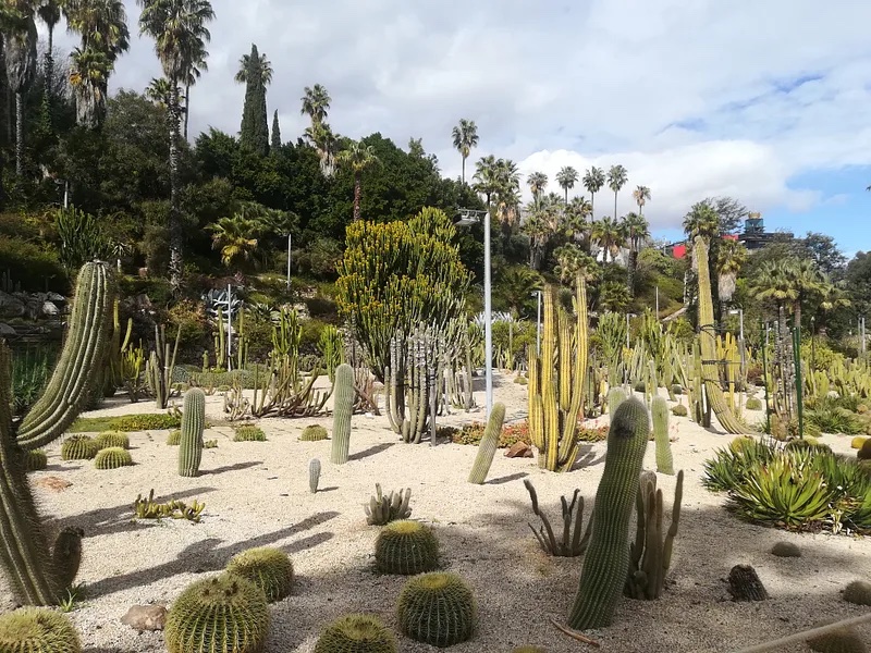 Jardins de Mossèn Costa i Llobera