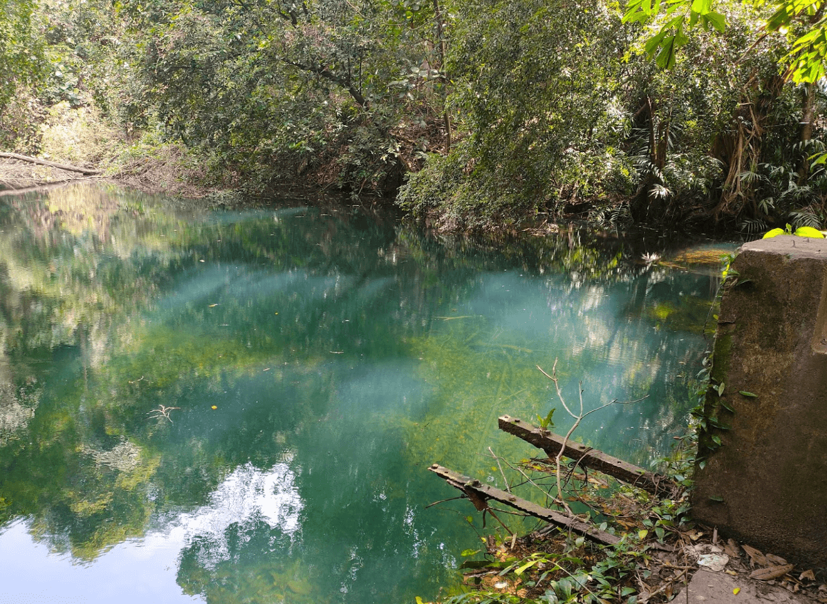 Keppel Hill Reservoir