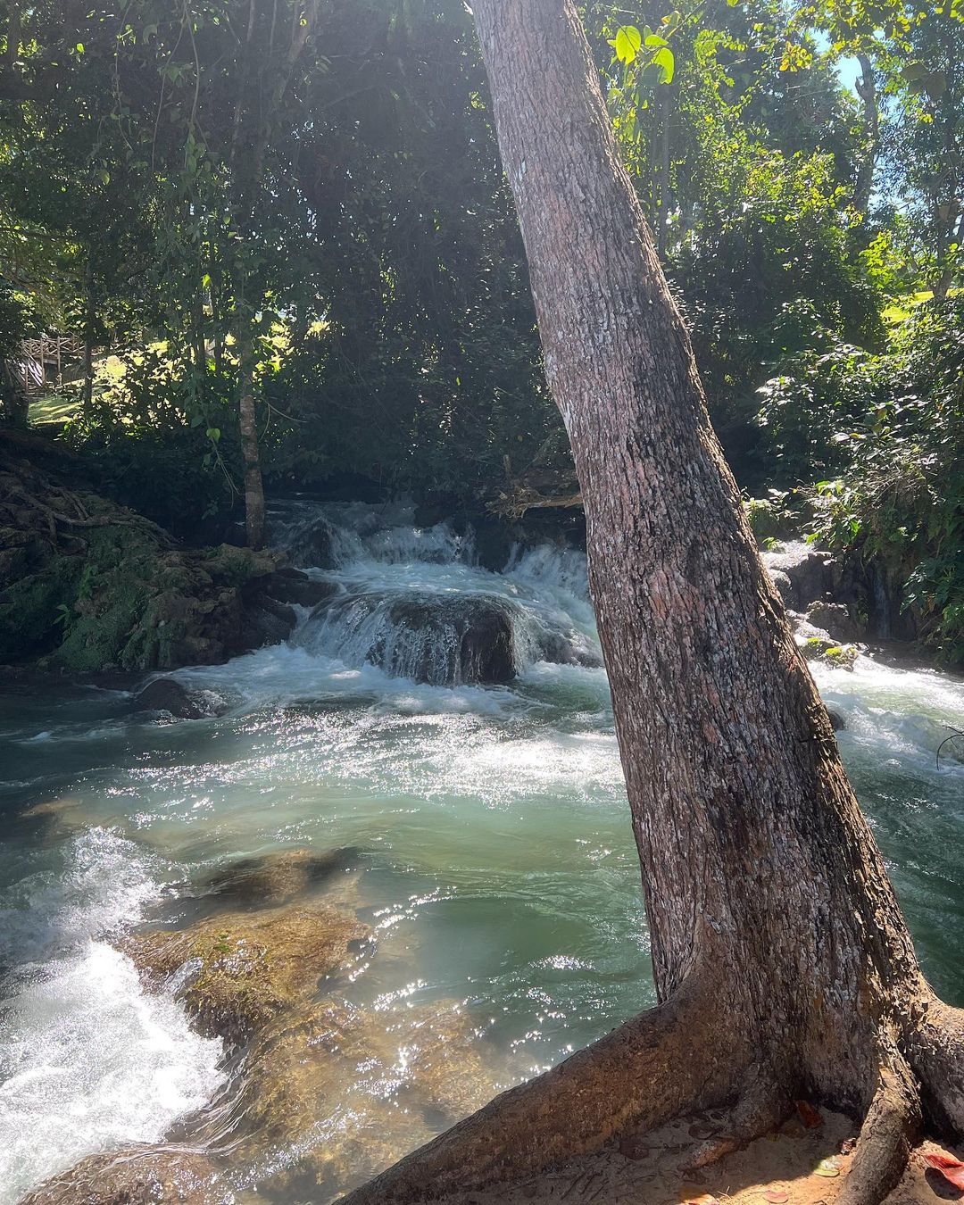 recommendation image