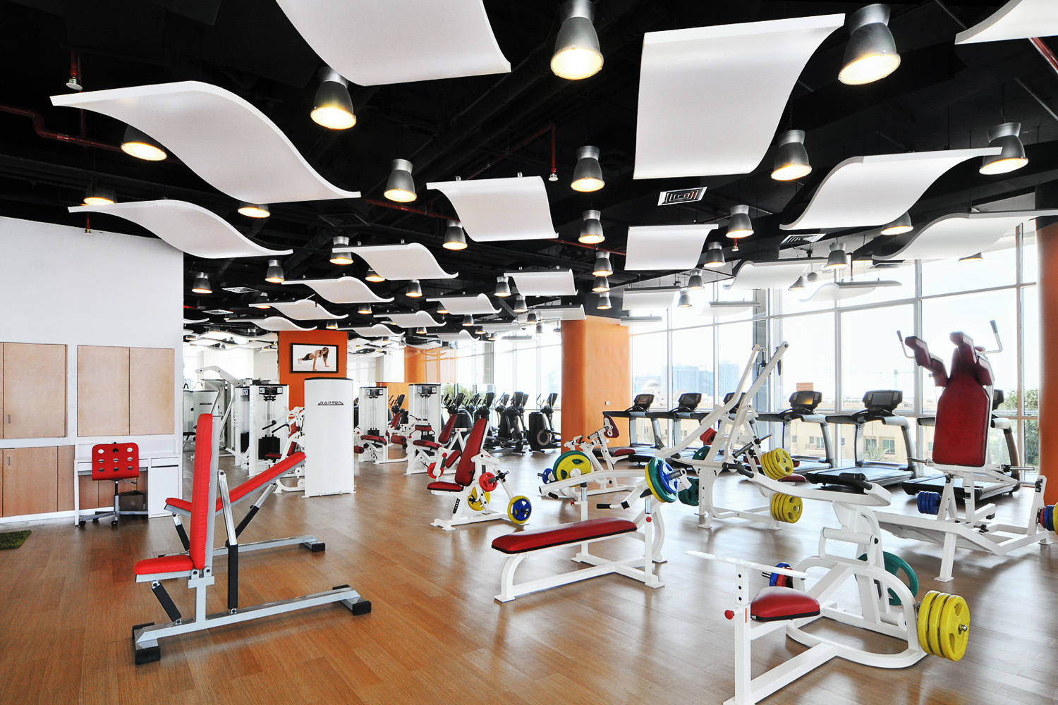 Lifeline Wellness