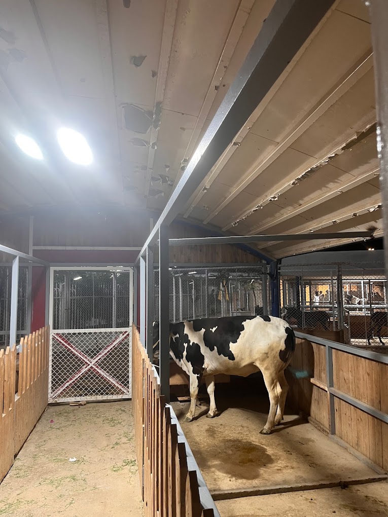 recommendation image