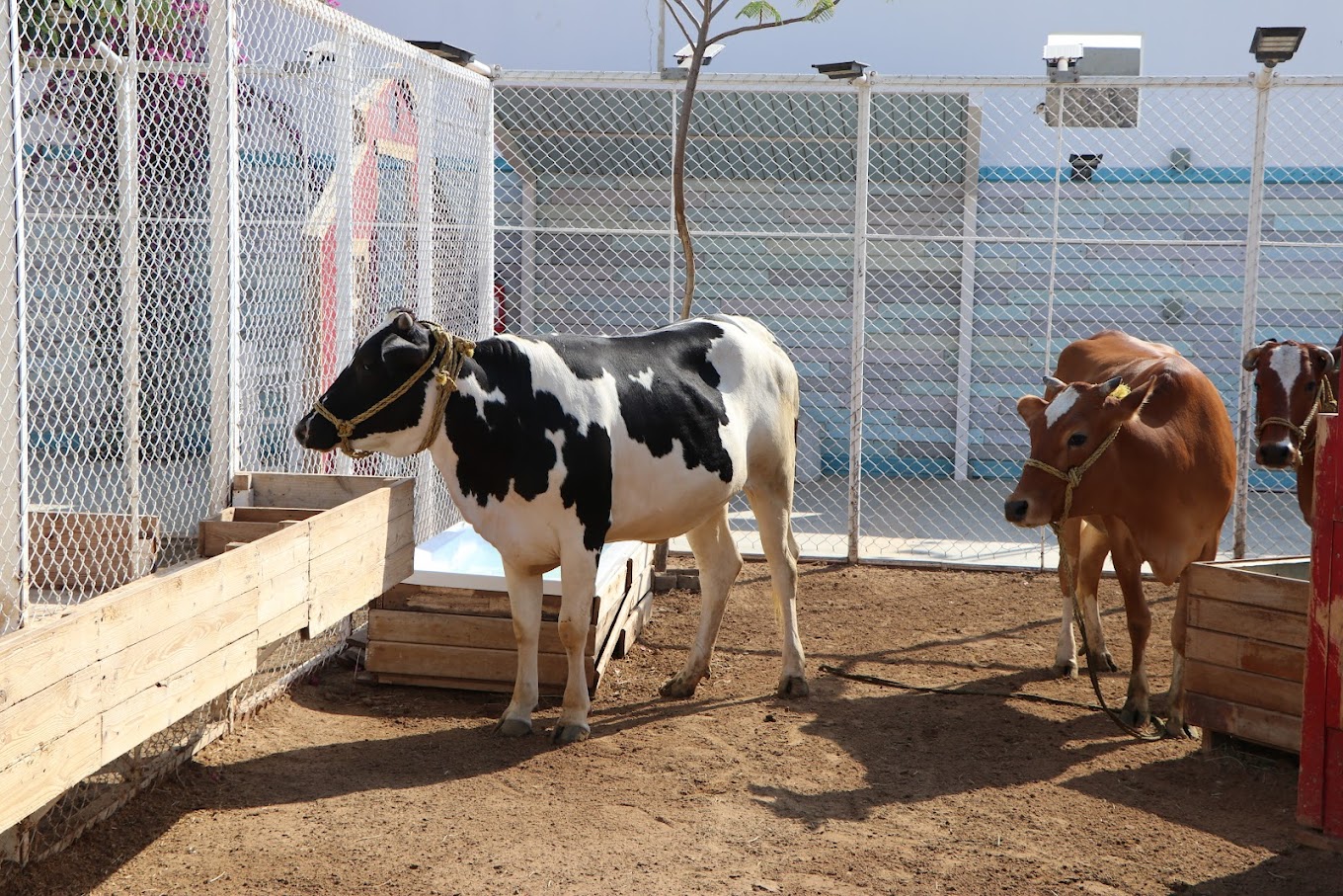 recommendation image