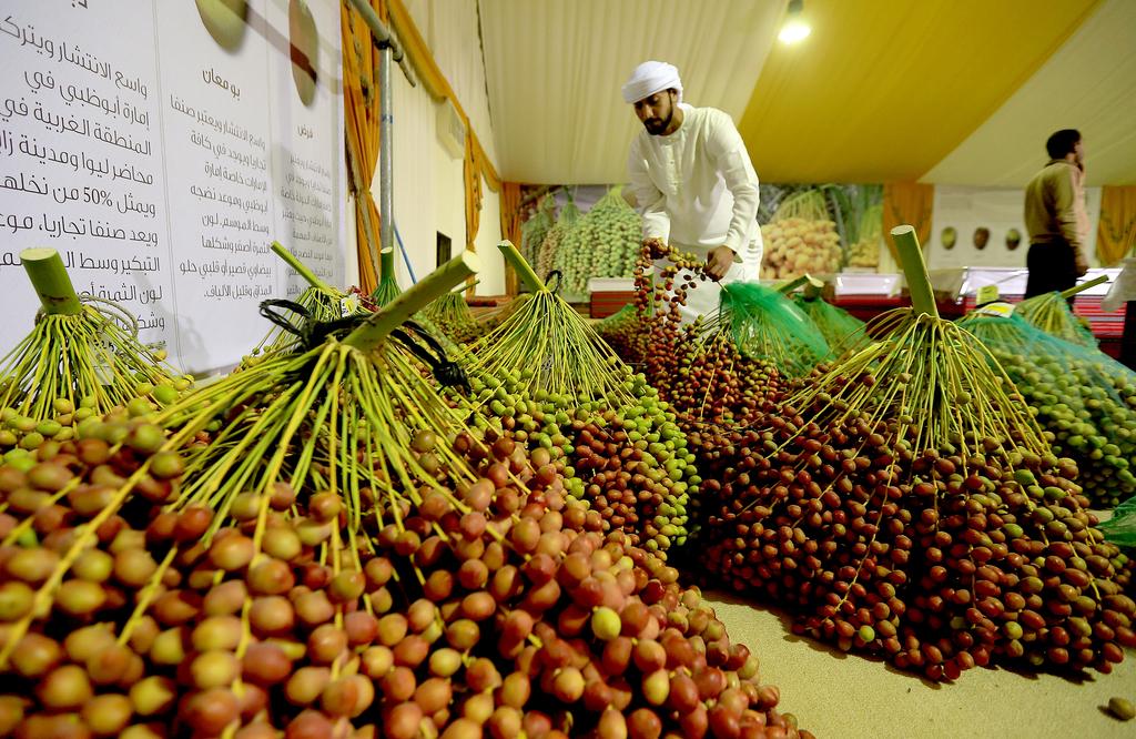 Liwa Date Festival