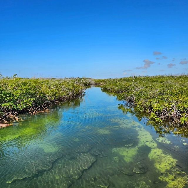 recommendation image